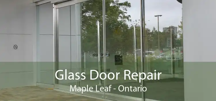 Glass Door Repair Maple Leaf - Ontario