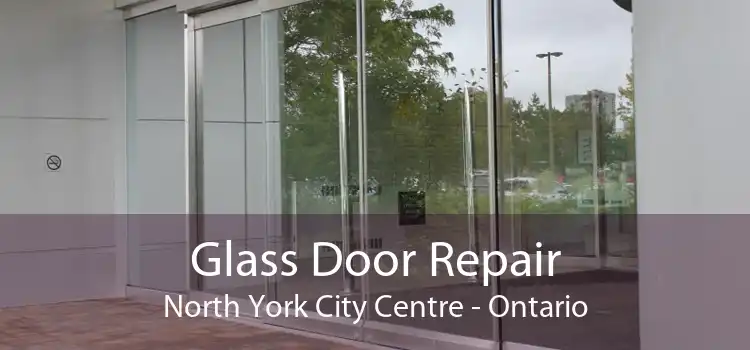 Glass Door Repair North York City Centre - Ontario