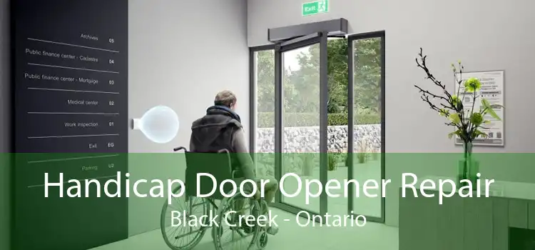 Handicap Door Opener Repair Black Creek - Ontario