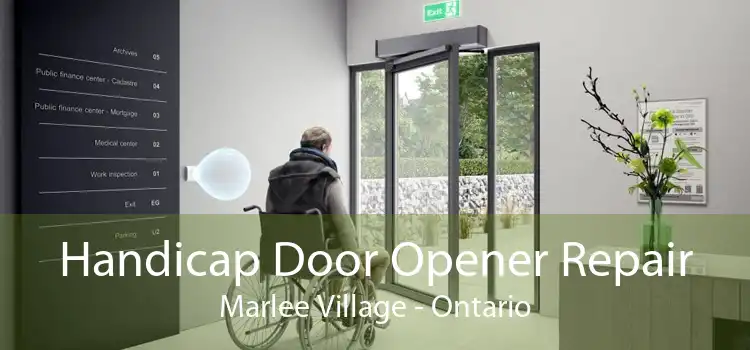 Handicap Door Opener Repair Marlee Village - Ontario