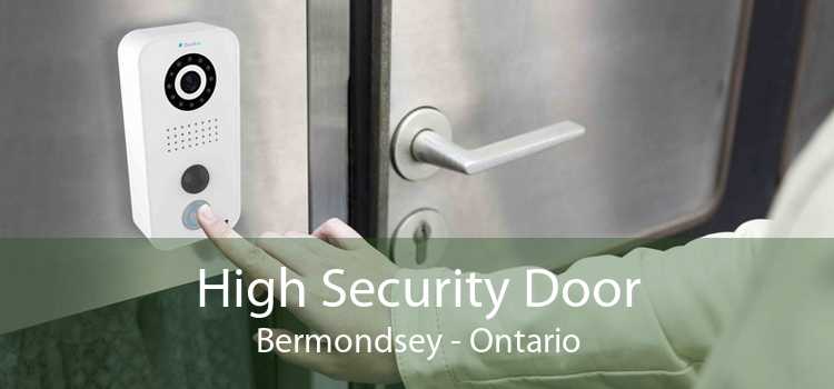 High Security Door Bermondsey - Ontario