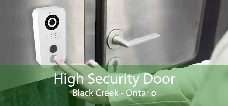 High Security Door Black Creek - Ontario