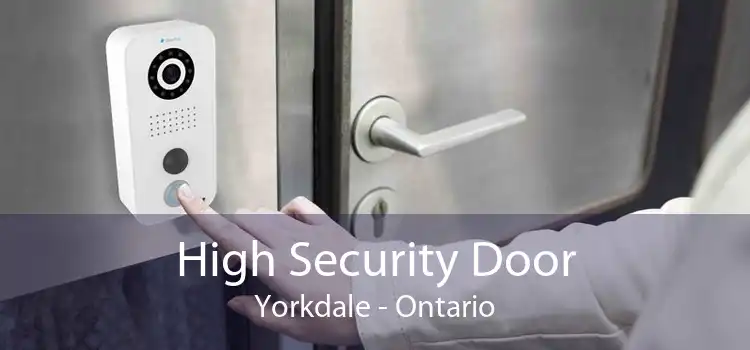 High Security Door Yorkdale - Ontario