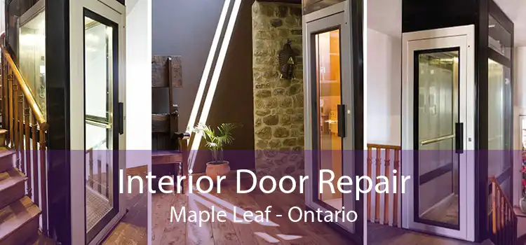 Interior Door Repair Maple Leaf - Ontario