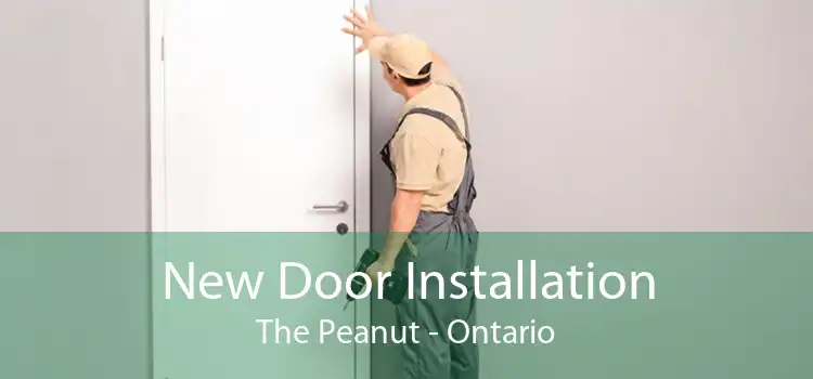 New Door Installation The Peanut - Ontario
