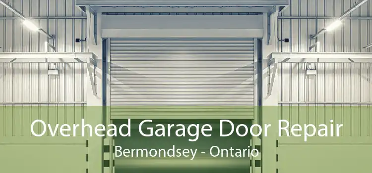 Overhead Garage Door Repair Bermondsey - Ontario