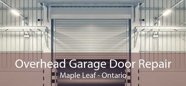 Overhead Garage Door Repair Maple Leaf - Ontario