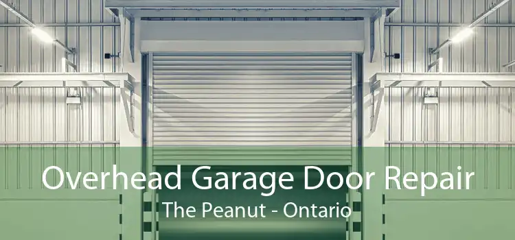 Overhead Garage Door Repair The Peanut - Ontario
