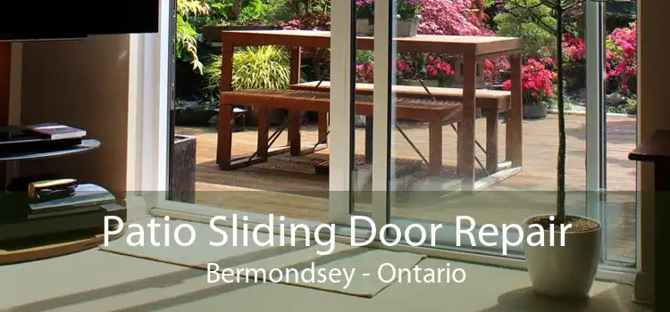 Patio Sliding Door Repair Bermondsey - Ontario