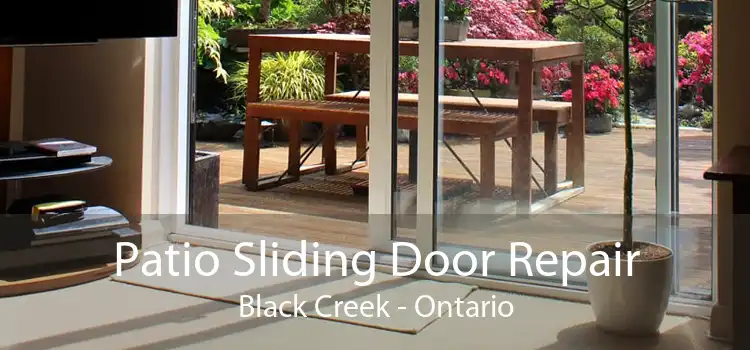Patio Sliding Door Repair Black Creek - Ontario