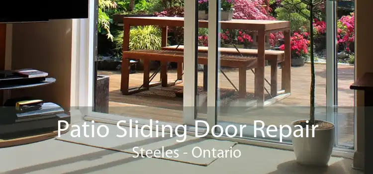 Patio Sliding Door Repair Steeles - Ontario