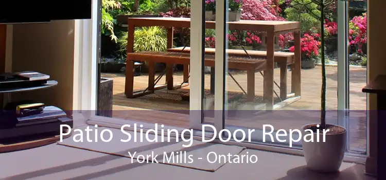 Patio Sliding Door Repair York Mills - Ontario