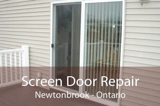 Screen Door Repair Newtonbrook - Ontario
