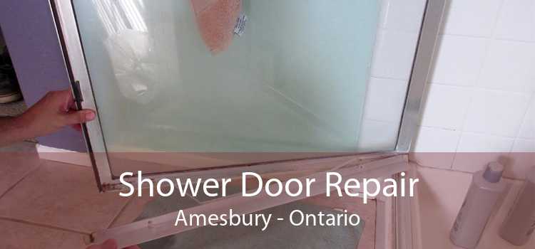 Shower Door Repair Amesbury - Ontario