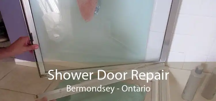 Shower Door Repair Bermondsey - Ontario