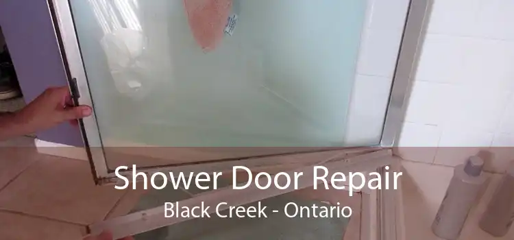 Shower Door Repair Black Creek - Ontario