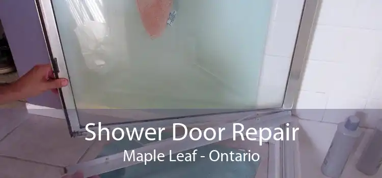Shower Door Repair Maple Leaf - Ontario