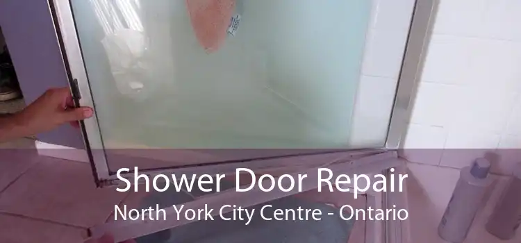 Shower Door Repair North York City Centre - Ontario