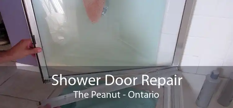 Shower Door Repair The Peanut - Ontario