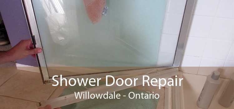 Shower Door Repair Willowdale - Ontario