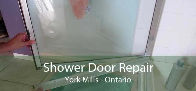 Shower Door Repair York Mills - Ontario