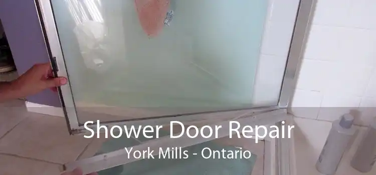 Shower Door Repair York Mills - Ontario