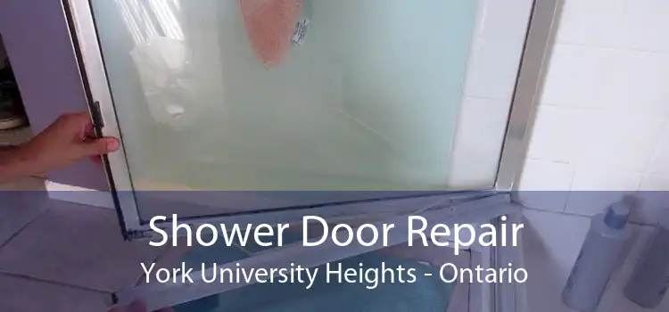 Shower Door Repair York University Heights - Ontario