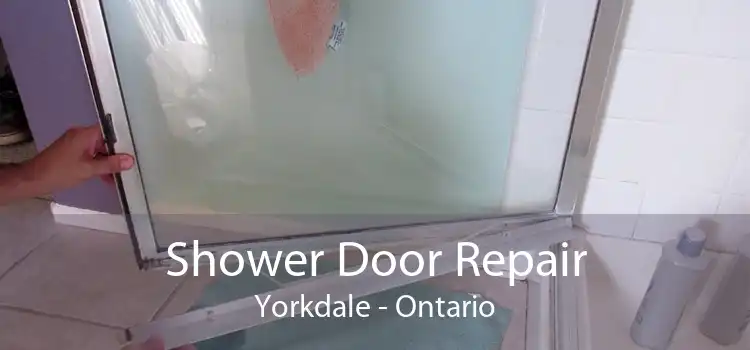 Shower Door Repair Yorkdale - Ontario