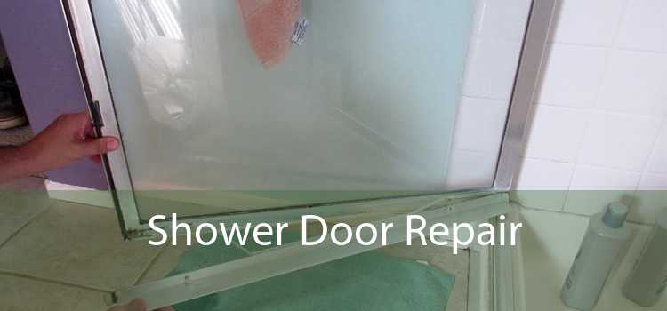 Shower Door Repair 