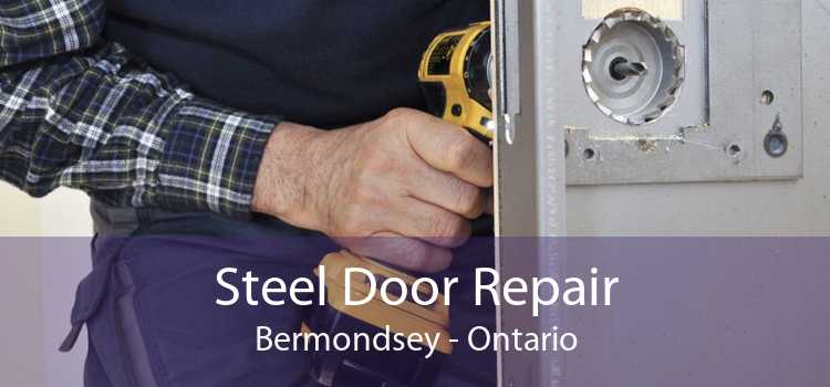 Steel Door Repair Bermondsey - Ontario