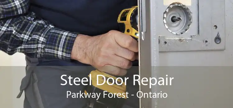 Steel Door Repair Parkway Forest - Ontario