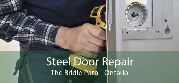 Steel Door Repair The Bridle Path - Ontario