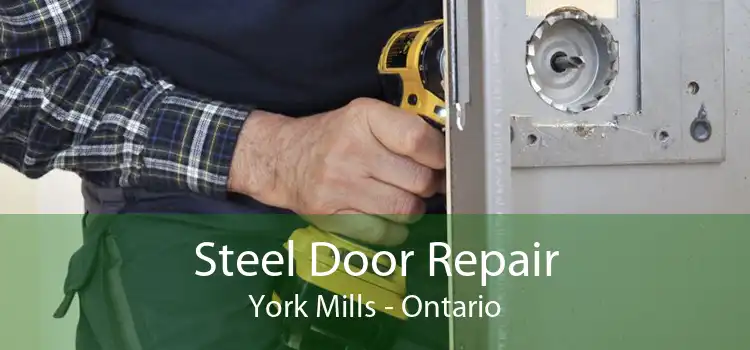 Steel Door Repair York Mills - Ontario