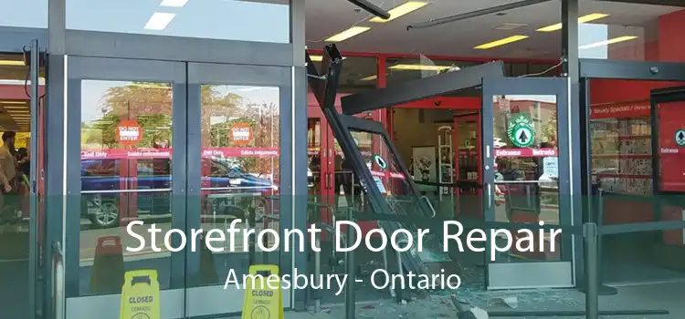 Storefront Door Repair Amesbury - Ontario