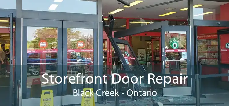 Storefront Door Repair Black Creek - Ontario