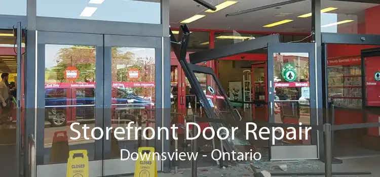 Storefront Door Repair Downsview - Ontario