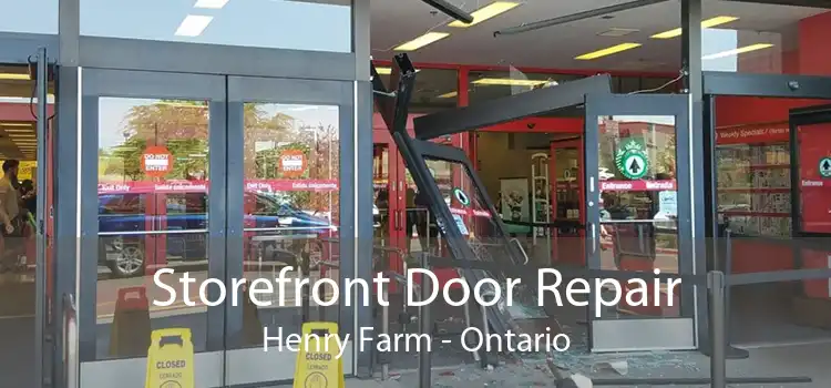 Storefront Door Repair Henry Farm - Ontario