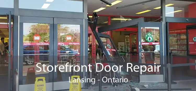 Storefront Door Repair Lansing - Ontario