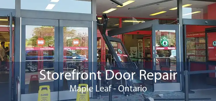 Storefront Door Repair Maple Leaf - Ontario