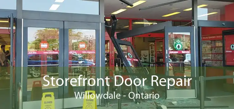 Storefront Door Repair Willowdale - Ontario